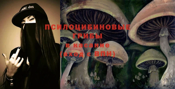 таблы Алзамай