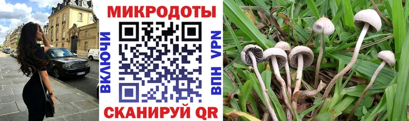 сколько стоит  Боровск  это наркотические препараты  Галлюциногенные грибы GOLDEN TEACHER 